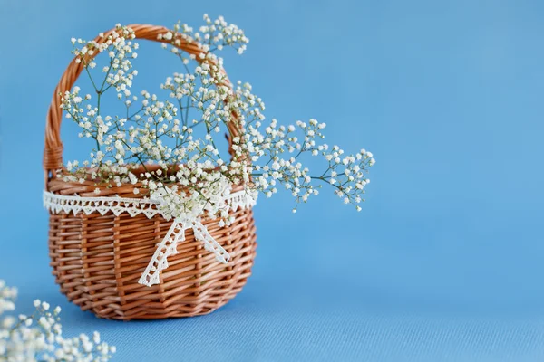 Beyaz gypsophila, karanfil çiçek buketi.