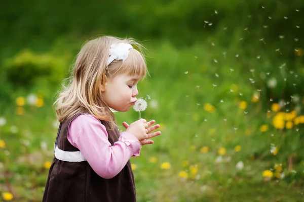 The little girl blows a dandelion — Stock Photo, Image