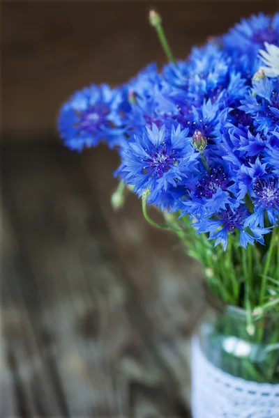 bir sürü güzel yaz çiçeği, Peygamber Çiçeği.