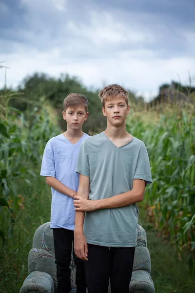 Two Brothers Field Countryside Green Plants Maize Summer Day — Stock Photo, Image