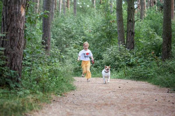 Beztroskie Dziecko Psem Biegającym Chodniku Letni Dzień Lasu Szczęśliwa Dziewczyna — Zdjęcie stockowe