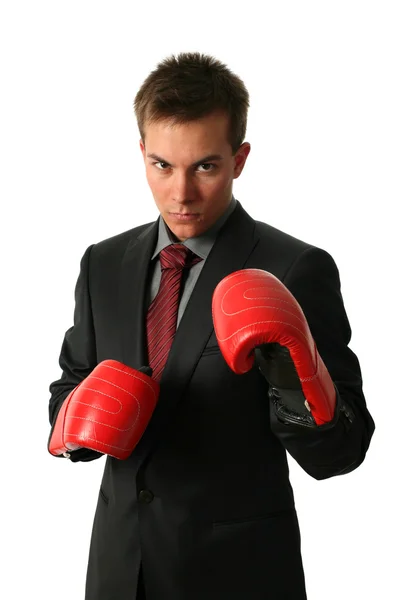 Boxing Businessmen Stock Picture