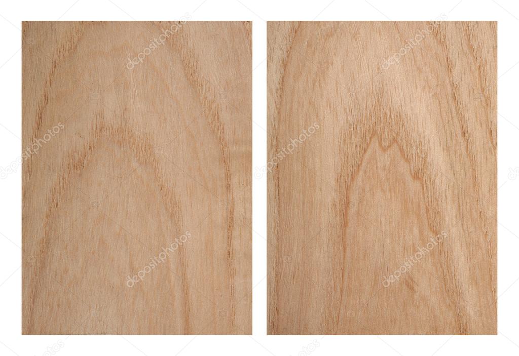Ash Tree Texture