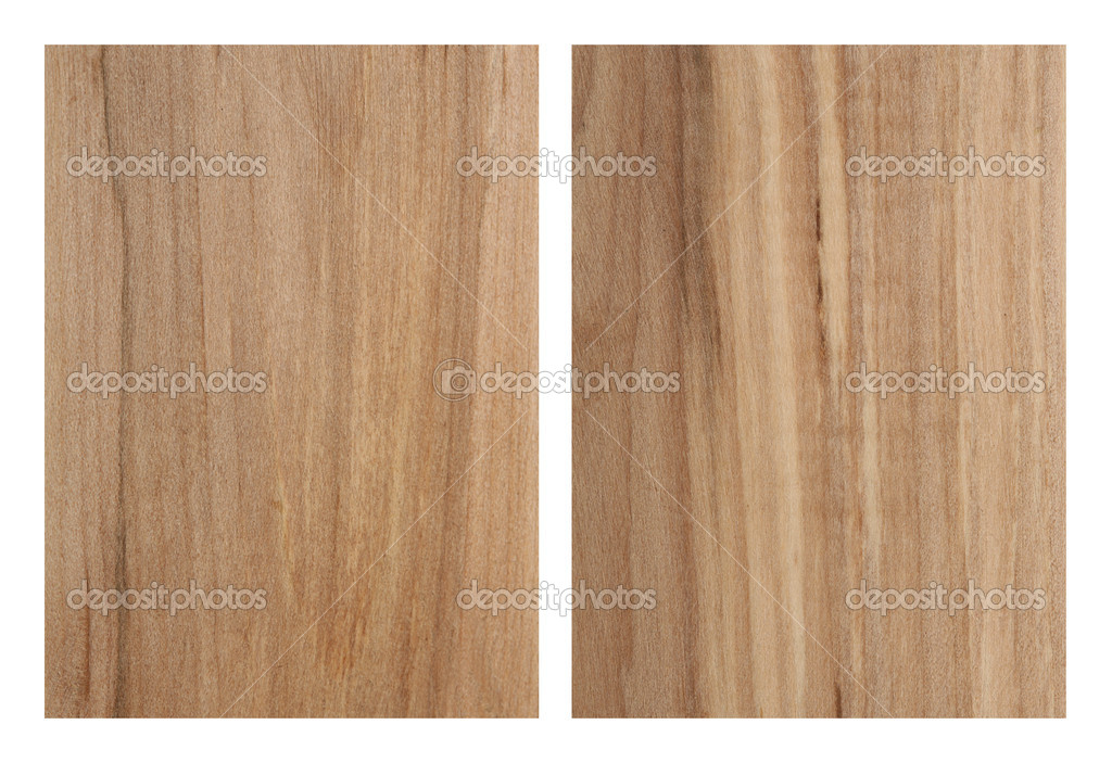 Rowan Tree Texture