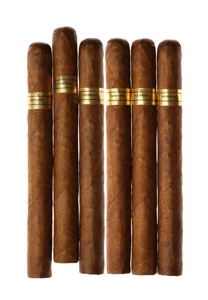 Гаванские сигары, изолированные на белом