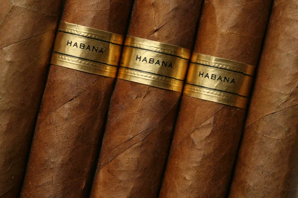 La Habana cigarros textura — Foto de Stock