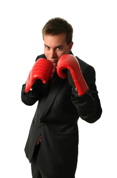 Boxing Businessmen — Stock Photo, Image