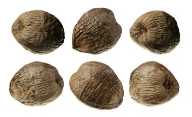 beyaz izole altı hindistancevizi koleksiyonu