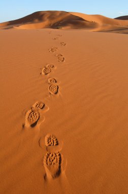ayak izlerini Sahra Çölü
