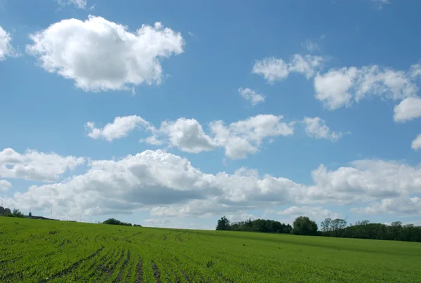 Mavi gökyüzü, beyaz bulutlar — Stok fotoğraf