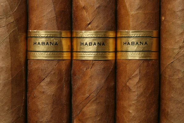 La Habana cigarros textura — Foto de Stock