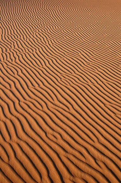 Sahara ørkenen - Stock-foto