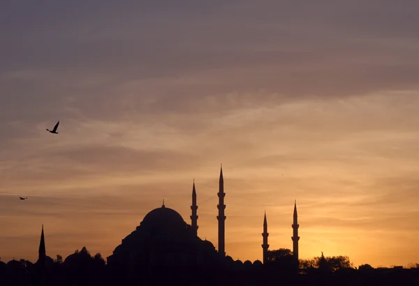 Suleymaniye Mosque at Sunset — Stock Photo, Image