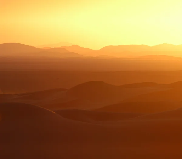 Sahara Desert — Stock Photo, Image