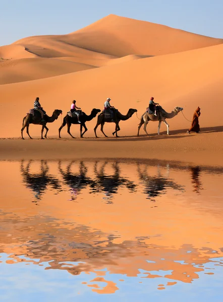 Kamelkarawane in der Sahara-Wüste Stockbild