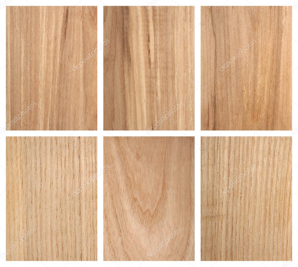Rowan and Ash Tree Wood Textures