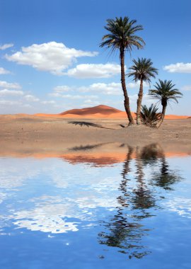 Palm Trees near the Lake in the Sahara Desert clipart