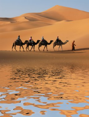 sahara Çölü'nde deve karavan