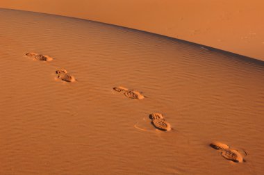 ayak izlerini Sahra Çölü