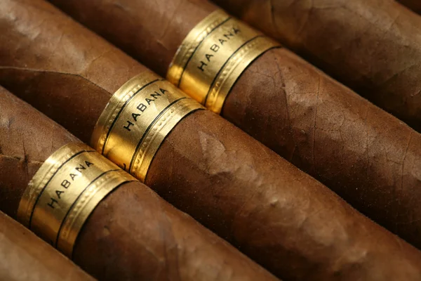 哈瓦那雪茄纹理 — 图库照片