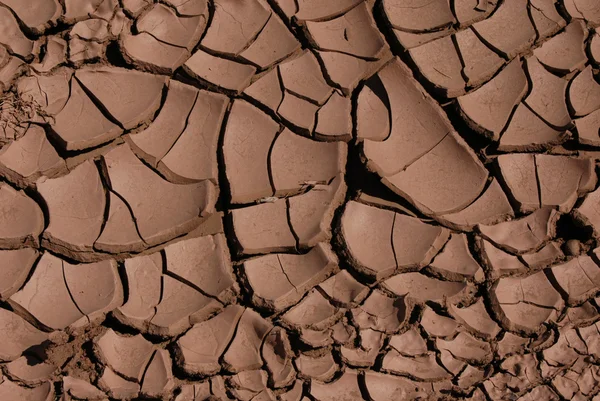 Cracked Dried Earth — Stock Photo, Image