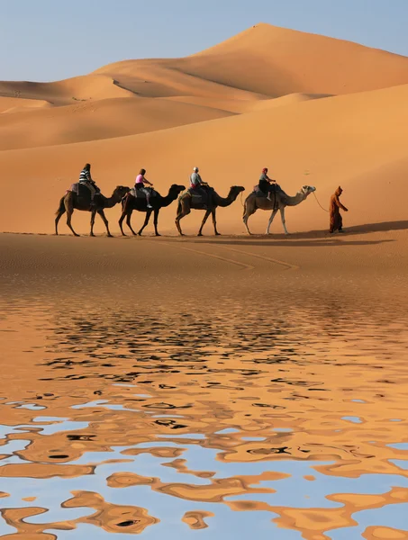 Caravana de camelo no deserto do Saara — Fotografia de Stock