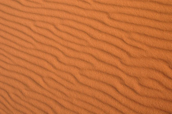 Sahara Desert — Stock Photo, Image