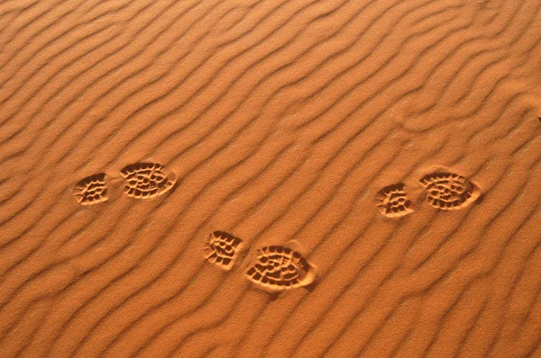 Footsteps in the Sahara Desert — Stock Photo, Image