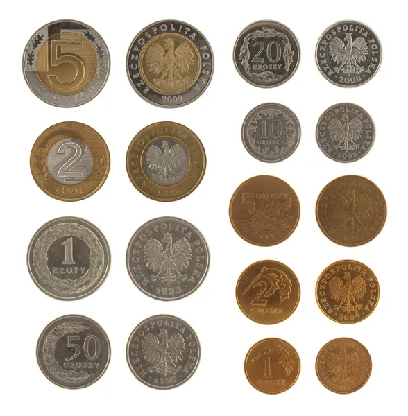 Set of Polish Zloty coins isolated on white — Stock Photo, Image