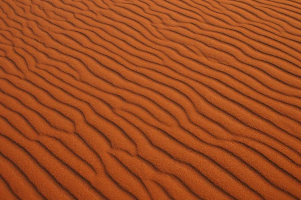 Sahara Desert — Stock Photo, Image