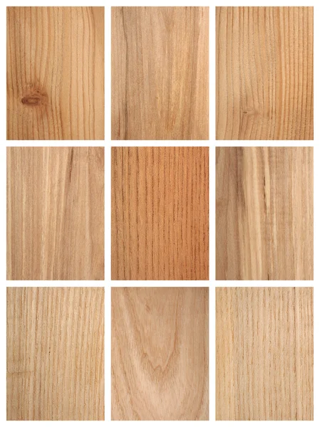 Different Wood Textures — Stock Image Different Wood Textures Stock Photo