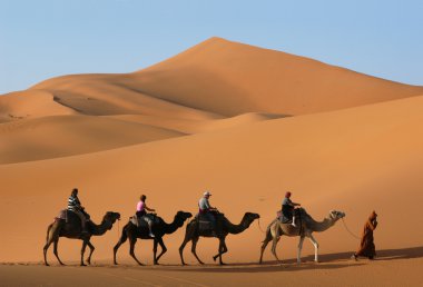 sahara Çölü'nde deve karavan
