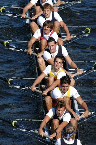 Rowing Team — Stock Photo, Image