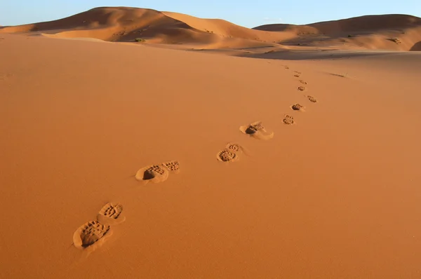 Pasos en el desierto del Sahara —  Fotos de Stock