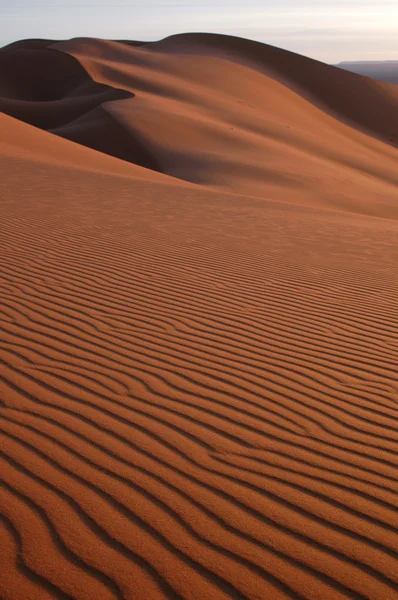 Deserto do Sara — Fotografia de Stock