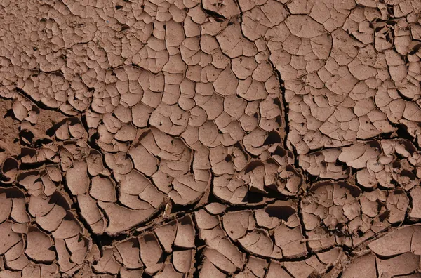 Tierra seca agrietada — Foto de Stock