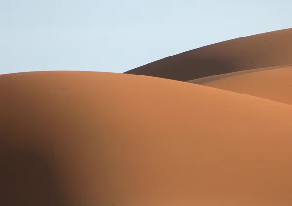 Deserto del Sahara — Foto Stock