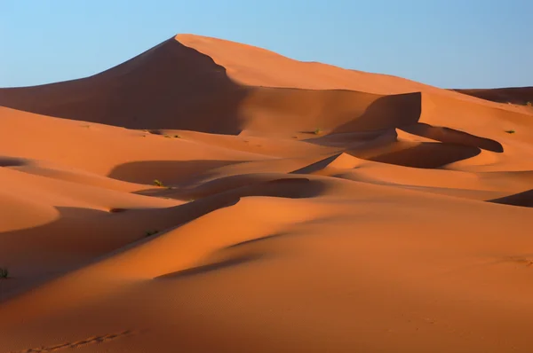 Wüste Sahara — Stockfoto