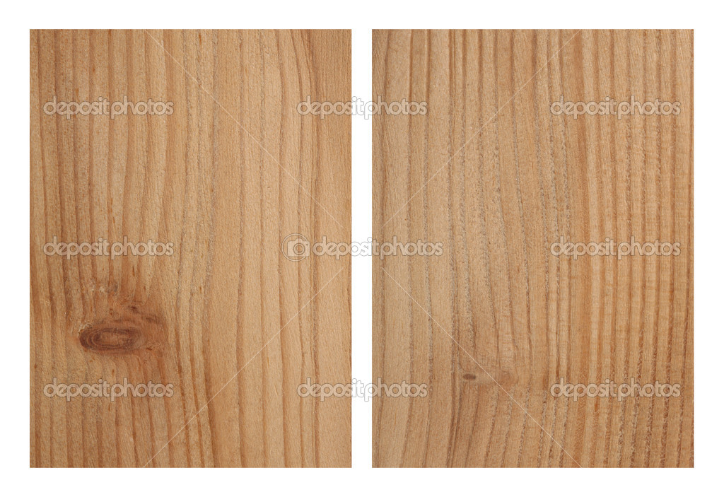 Larch Tree Texture