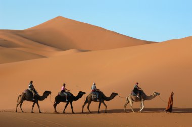 sahara Çölü'nde deve karavan
