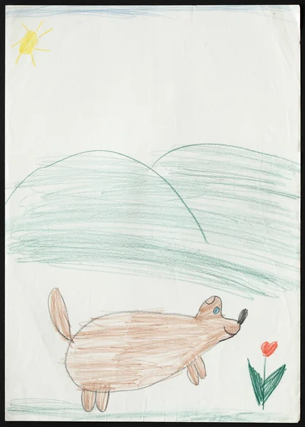 Dog and Tulip Flower. Child's Drawing. — Stock Photo, Image