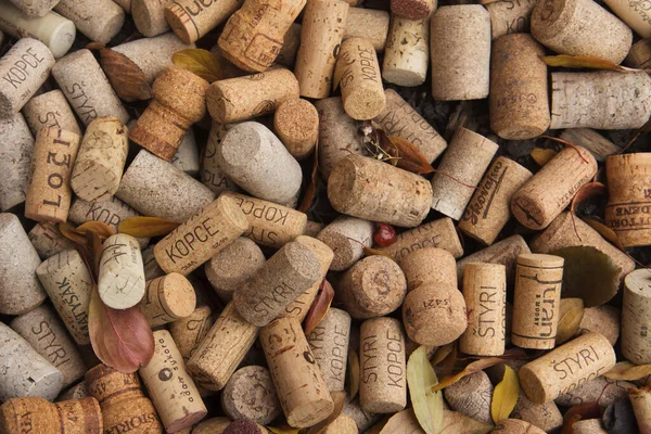 Şarap Mantarı Arkaplan Dokusu — Stok fotoğraf