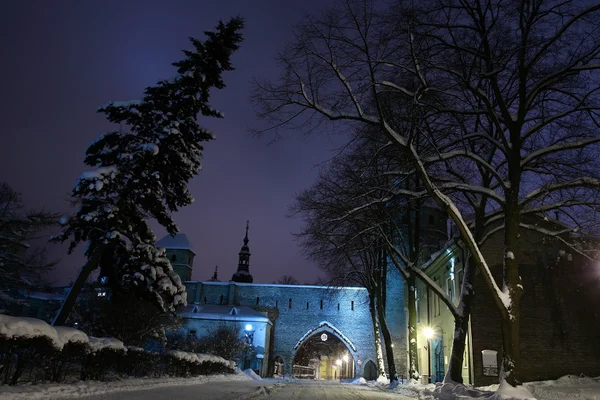 Tallin, Inverno — Fotografia de Stock