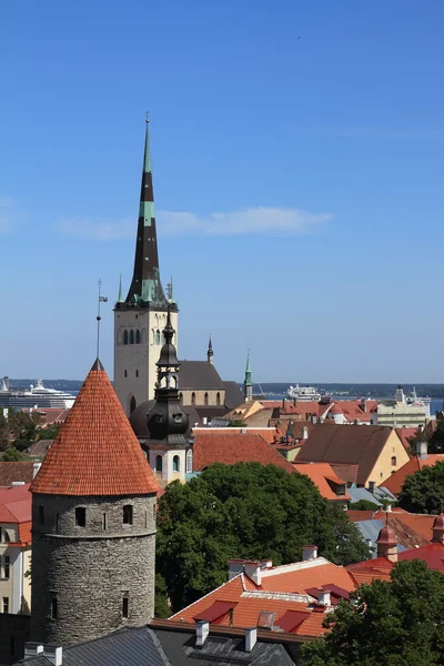 Tallin, Ciudad Vieja — Foto de Stock