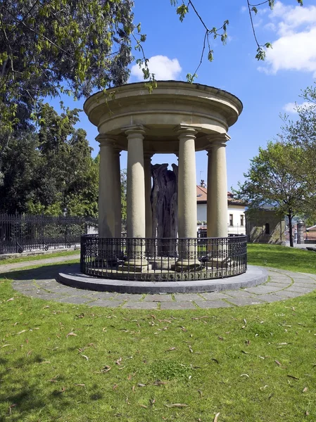 The tree of Gernika — Stock Photo, Image