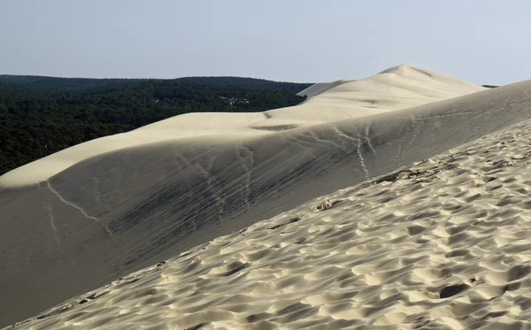 Dune du pilat — Stok Foto