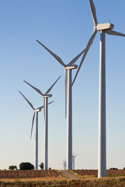 çimen jeneratörler