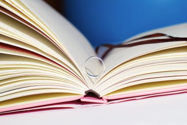 yüzük ve defter