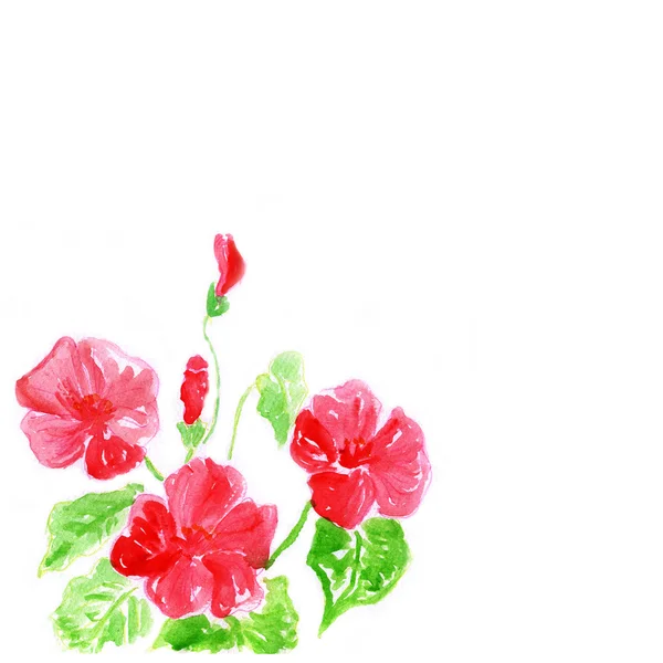 Rote Blume, Aquarell-Illustration — Stockfoto