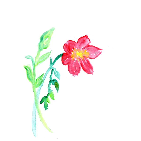 Rosa Blume, Aquarell-Illustration — Stockfoto